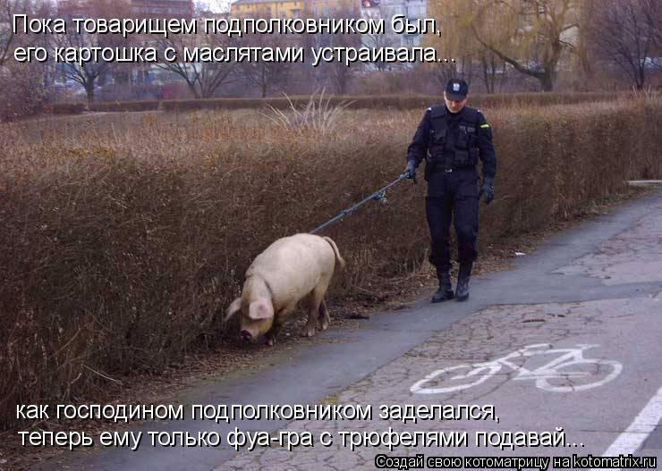 Котоматрица: Пока товарищем подполковником был,  его картошка с маслятами устраивала... как господином подполковником заделался,  теперь ему только фуа-
