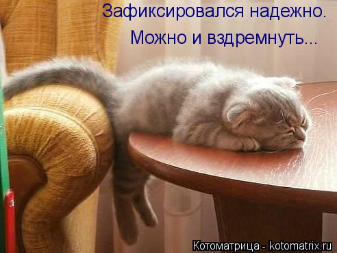Зафиксировался надежно. Можно и вздремнуть...... Котоматрица: Зафиксировался надежно. Можно и вздремнуть...