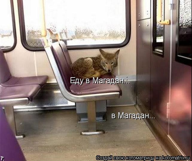 Еду в Магадан... в Магадан...... Котоматрица: Еду в Магадан... в Магадан...