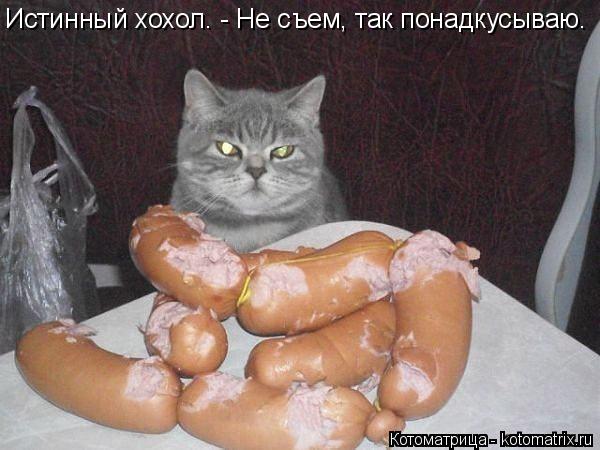 Котоматрица: Истинный хохол. - Не съем, так понадкусываю.