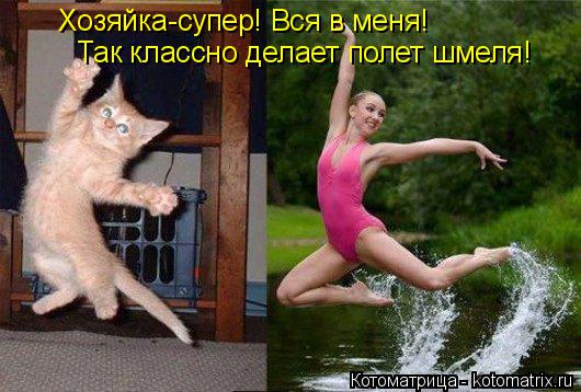 Хозяйка-супер! Вся в меня! Так классно делает полет шмеля!... Котоматрица: Хозяйка-супер! Вся в меня! Так классно делает полет шмеля!