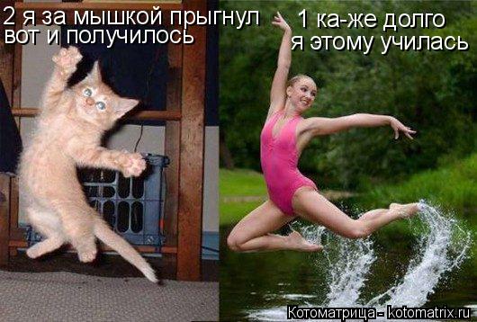 Котоматрица: 1 ка-же долго я этому училась 2 я за мышкой прыгнул вот и получилось