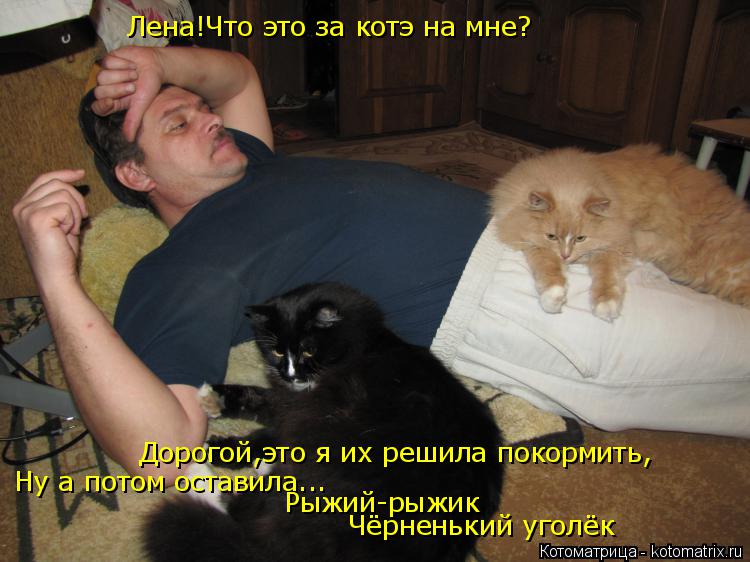 Лена!Что это за котэ на мне? Дорогой,это я их решила покормить, Ну а потом оставила... Рыжий-рыжик Чё... Котоматрица: Лена!Что это за котэ на мне? Дорогой,это я их решила покормить, Ну а потом оставила... Рыжий-рыжик Чёрненький уголёк