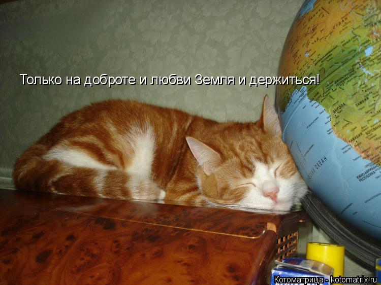 Только на доброте и любви Земля и держиться!... Котоматрица: Только на доброте и любви Земля и держиться!