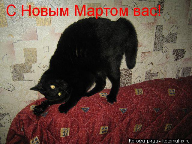 Котоматрица: С Новым Мартом вас!