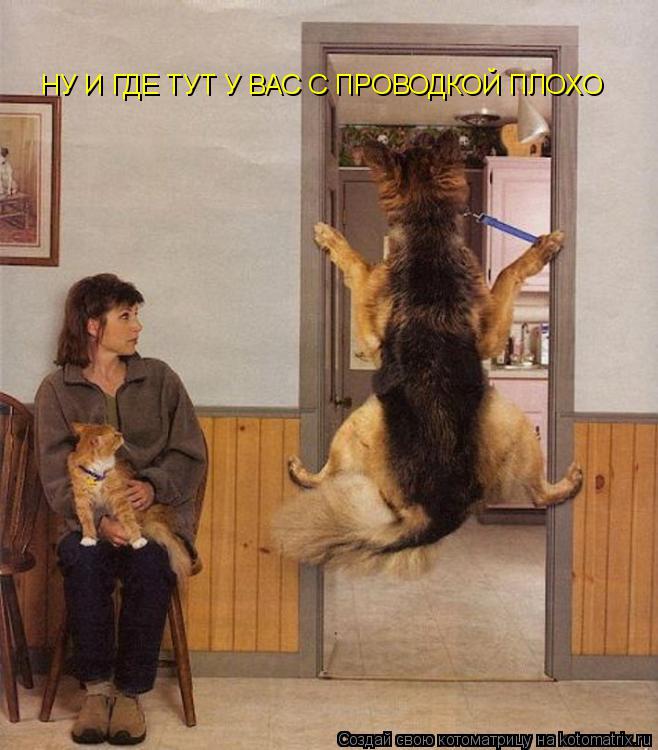 Котоматрица: НУ И ГДЕ ТУТ У ВАС С ПРОВОДКОЙ ПЛОХО
