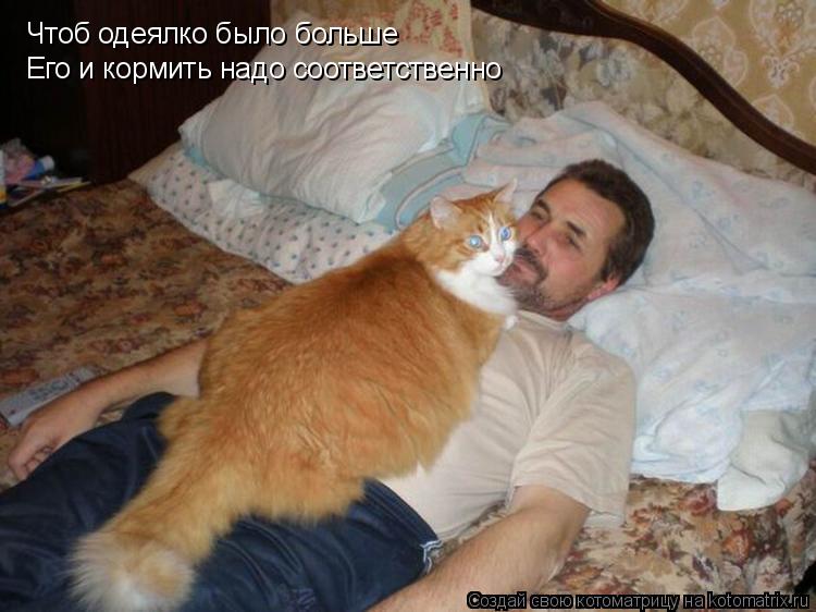 Чтоб одеялко было больше Его и кормить надо соответственно... Котоматрица: Чтоб одеялко было больше Его и кормить надо соответственно