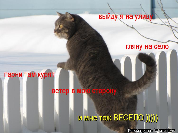 выйду я на улицу парни там курят гляну на село ветер в мою сторону и мне тож ВЕСЕЛО )))))... Котоматрица: выйду я на улицу парни там курят гляну на село ветер в мою сторону и мне тож ВЕСЕЛО )))))