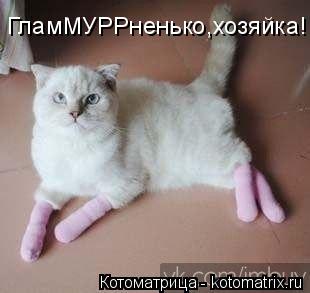 Котоматрица: ГламМУРРненько,хозяйка!