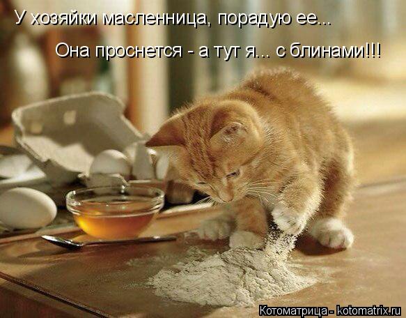 У хозяйки масленница, порадую ее... Она проснется - а тут я... с блинами!!!... Котоматрица: У хозяйки масленница, порадую ее... Она проснется - а тут я... с блинами!!!