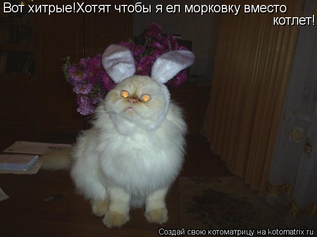 Котоматрица: Вот хитрые!Хотят чтобы я ел морковку вместо  котлет!