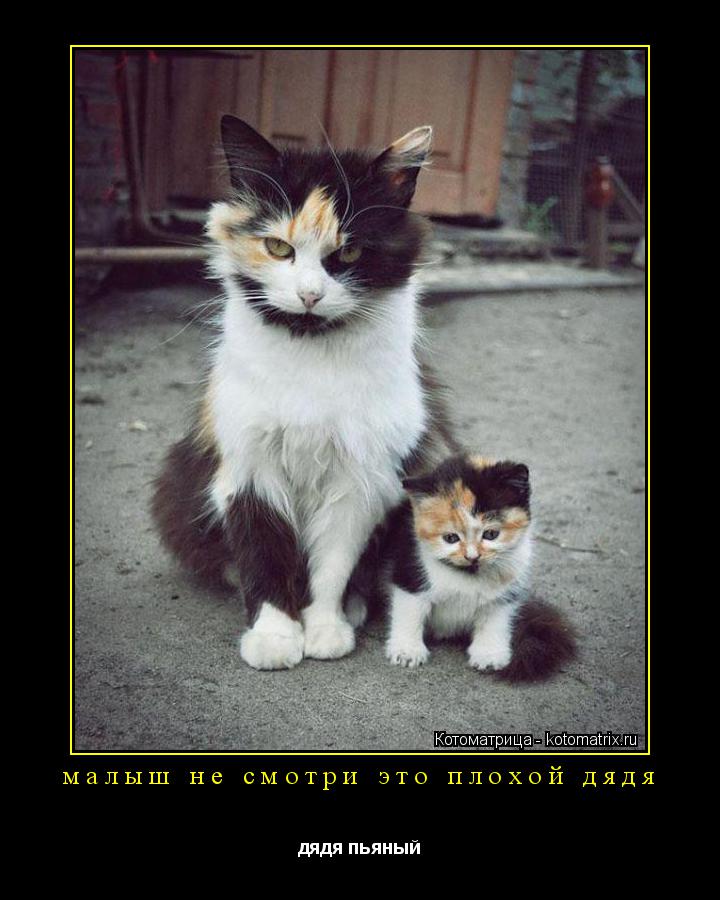 малыш не смотри это плохой дядя дядя пьяный... Котоматрица: малыш не смотри это плохой дядя дядя пьяный