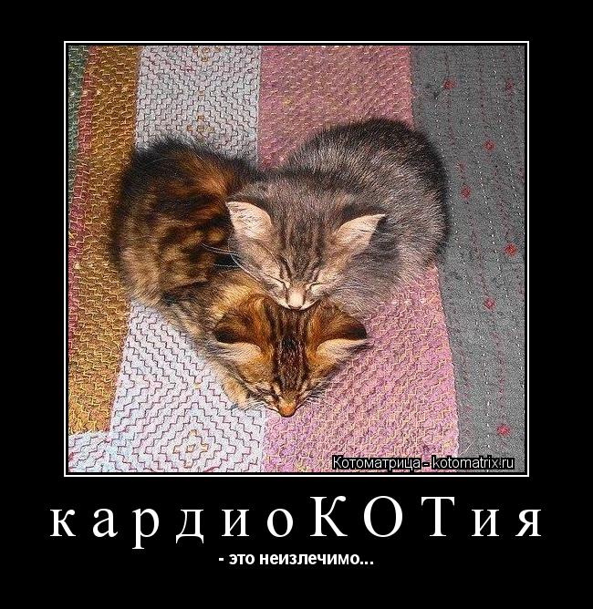 кардиоКОТия - это неизлечимо...... Котоматрица: кардиоКОТия - это неизлечимо...