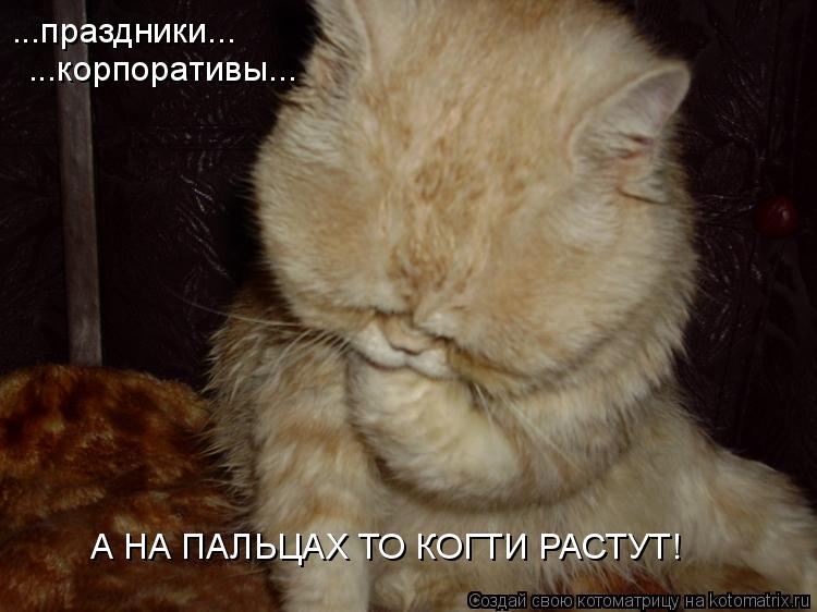 ...праздники... ...корпоративы... А НА ПАЛЬЦАХ ТО КОГТИ РАСТУТ!... Котоматрица: ...праздники... ...корпоративы... А НА ПАЛЬЦАХ ТО КОГТИ РАСТУТ!