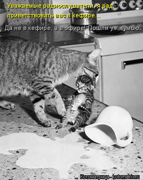 Уважаемые радиослушатели, я рад приветствовать вас в кефире... Да не в кефире, а в эфире! Пошли уж, ... Котоматрица: Уважаемые радиослушатели, я рад приветствовать вас в кефире... Да не в кефире, а в эфире! Пошли уж, умою.