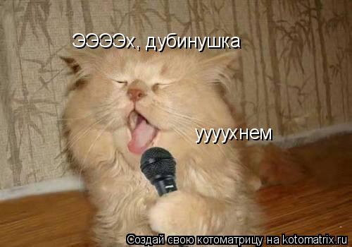 Котоматрица: ЭЭЭЭх, дубинушка уууухнем