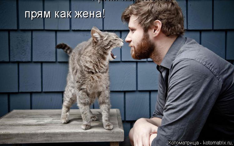 прям как жена! прям как жена!... Котоматрица: прям как жена! прям как жена!