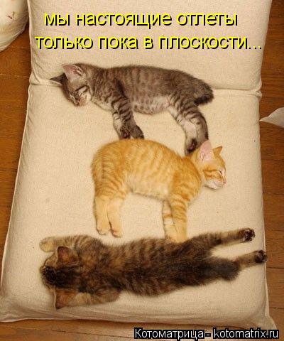 Котоматрица: мы настоящие отлеты только пока в плоскости...