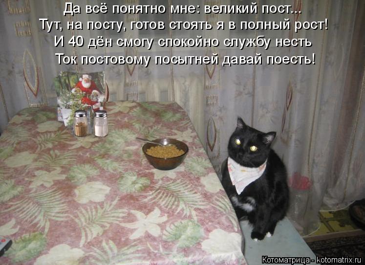 Котоматрица: Да всё понятно мне: великий пост... Тут, на посту, готов стоять я в полный рост! И 40 дён смогу спокойно службу несть Ток постовому посытней дав