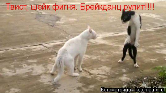 Твист, шейк фигня. Брейкданц рулит!!!!... Котоматрица: Твист, шейк фигня. Брейкданц рулит!!!!