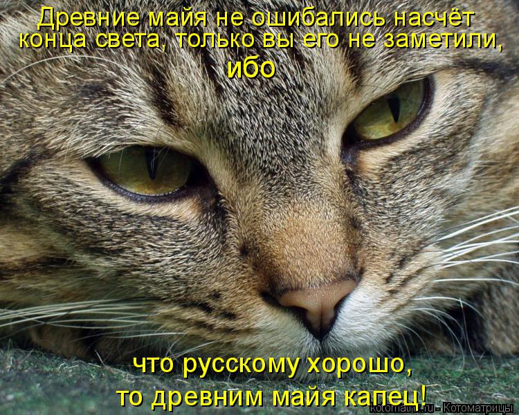 Котоматрица: конца света, только вы его не заметили,  Древние майя не ошибались насчёт  ибо что русскому хорошо, то древним майя капец!
