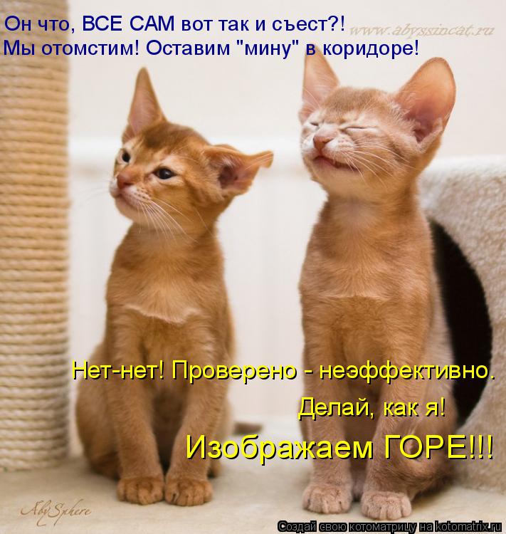 Котоматрица: Он что, ВСЕ САМ вот так и съест?! Мы отомстим! Оставим "мину" в коридоре! Нет-нет! Проверено - неэффективно. Делай, как я! Изображаем ГОРЕ!!!