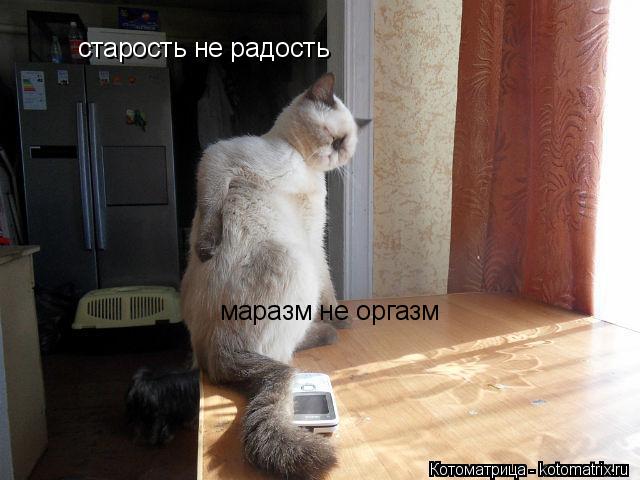 Котоматрица: старость не радость маразм не оргазм