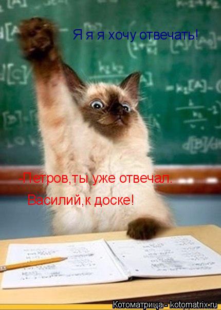 Котоматрица: Я я я хочу отвечать! -Петров,ты уже отвечал.        Василий,к доске!