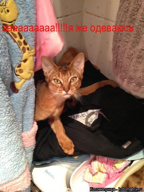 Котоматрица: аааааааааа!!!!!я же одеваюсь