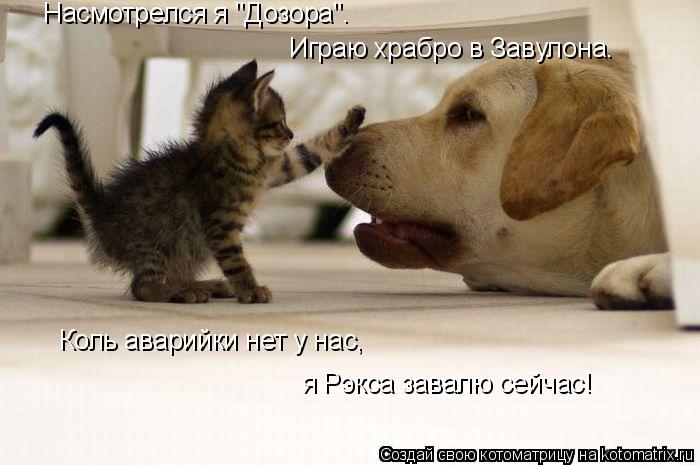 Насмотрелся я "Дозора". Играю храбро в Завулона. Коль аварийки нет у нас, я Рэкса завалю сейчас!... Котоматрица: Насмотрелся я "Дозора". Играю храбро в Завулона. Коль аварийки нет у нас, я Рэкса завалю сейчас!