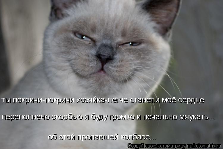 ты покричи-покричи хозяйка-легче станет,и моё сердце переполнено скорбью,я буду громко и печально мяу... Котоматрица: ты покричи-покричи хозяйка-легче станет,и моё сердце переполнено скорбью,я буду громко и печально мяукать... об этой пропавшей колбасе...