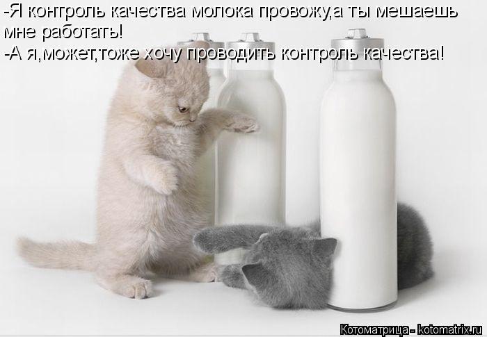 Котоматрица: -Я контроль качества молока провожу,а ты мешаешь мне работать! -А я,может,тоже хочу проводить контроль качества!