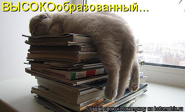 ВЫСОКОобразованный...... Котоматрица: ВЫСОКОобразованный...