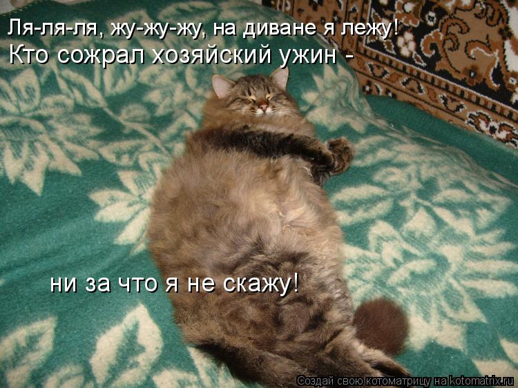 Котоматрица: Кто сожрал хозяйский ужин -  ни за что я не скажу! Ля-ля-ля, жу-жу-жу, на диване я лежу!