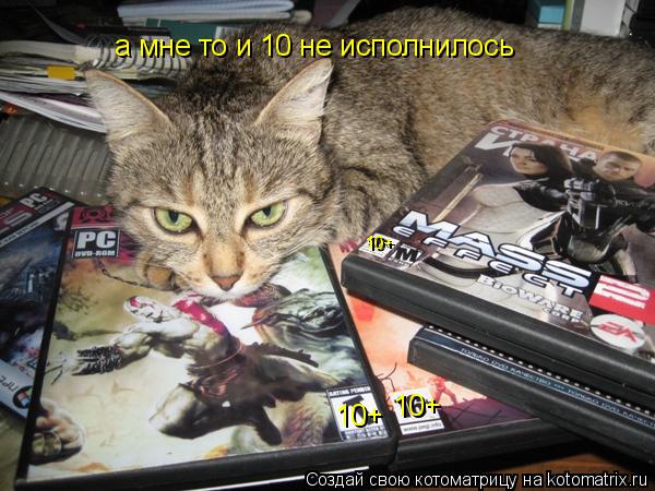 Котоматрица: 10+ 10+ 10+ 10+ а мне то и 10 не исполнилось