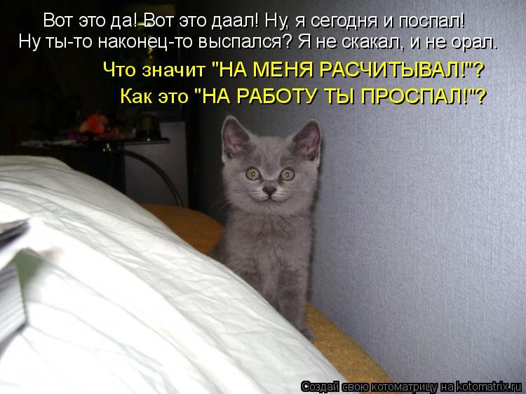 Вот это да! Вот это даал! Ну, я сегодня и поспал! Ну ты-то наконец-то выспался? Я не скакал, и не ора... Котоматрица: Вот это да! Вот это даал! Ну, я сегодня и поспал! Ну ты-то наконец-то выспался? Я не скакал, и не орал. Как это "НА РАБОТУ ТЫ ПРОСПАЛ!"? Что значит "