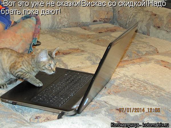 Котоматрица: -Вот это уже не сказки!Вискас со скидкой!Надо брать,пока дают!