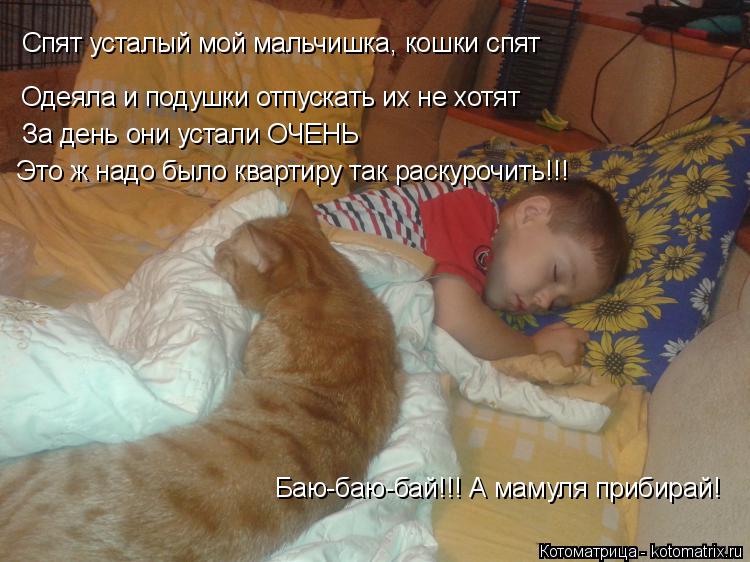 Одеяла и подушки отпускать их не хотят За день они устали ОЧЕНЬ Спят усталый мой мальчишка, кошки спя... Котоматрица: Одеяла и подушки отпускать их не хотят За день они устали ОЧЕНЬ Спят усталый мой мальчишка, кошки спят Это ж надо было квартиру так раскуроч