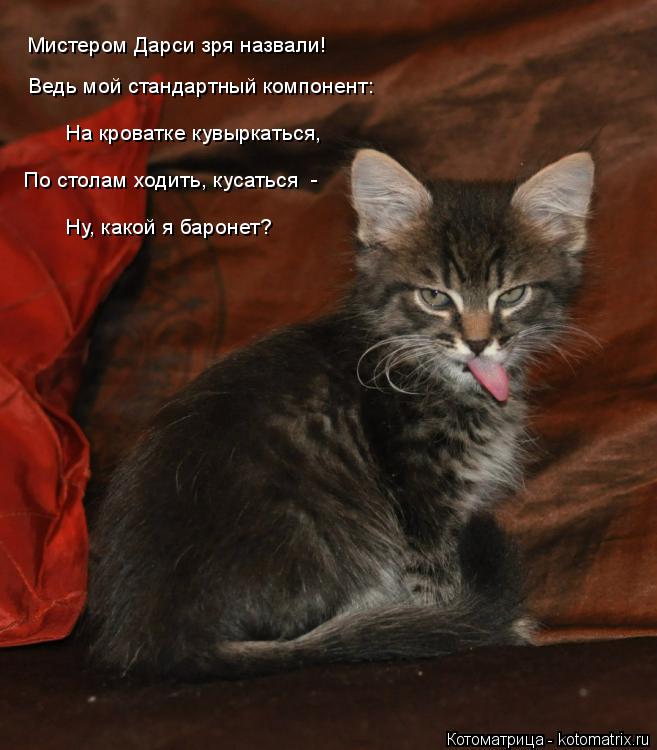 Мистером Дарси зря назвали! Ведь мой стандартный компонент: На кроватке кувыркаться, По столам ходит... Котоматрица: Мистером Дарси зря назвали! Ведь мой стандартный компонент: На кроватке кувыркаться, По столам ходить, кусаться - Ну, какой я баронет?