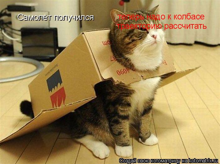 Самолёт получился теперь надо к колбасе траекторию рассчитать... Котоматрица: Самолёт получился теперь надо к колбасе траекторию рассчитать