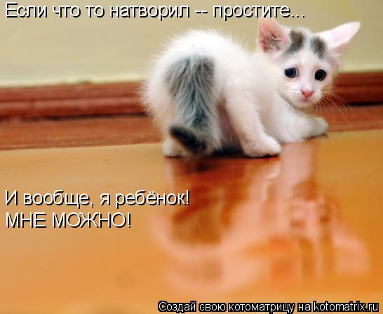 Котоматрица: Если что то натворил -- простите... И вообще, я ребёнок! МНЕ МОЖНО!