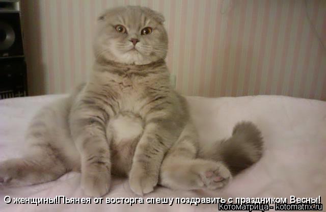 Котоматрица: О женщины!Пьянея от восторга спешу поздравить с праздником Весны!