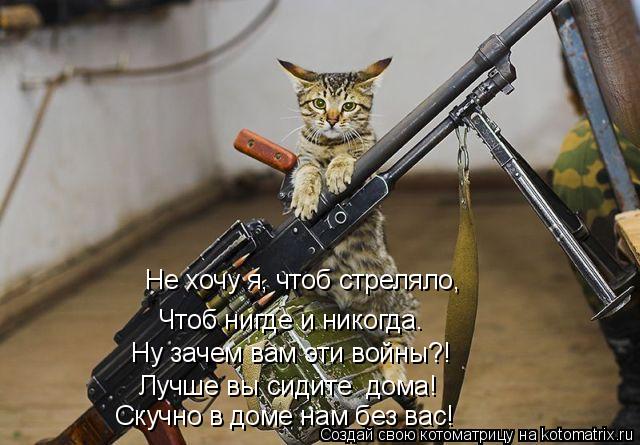 Не хочу я, чтоб стреляло, Чтоб нигде и никогда. Ну зачем вам эти войны?! Лучше вы сидите дома! Скучн... Котоматрица: Не хочу я, чтоб стреляло, Чтоб нигде и никогда. Ну зачем вам эти войны?! Лучше вы сидите дома! Скучно в доме нам без вас!
