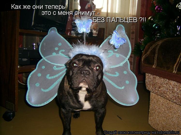 Котоматрица: Как же они теперь  это с меня снимут -   БЕЗ ПАЛЬЦЕВ ?!!