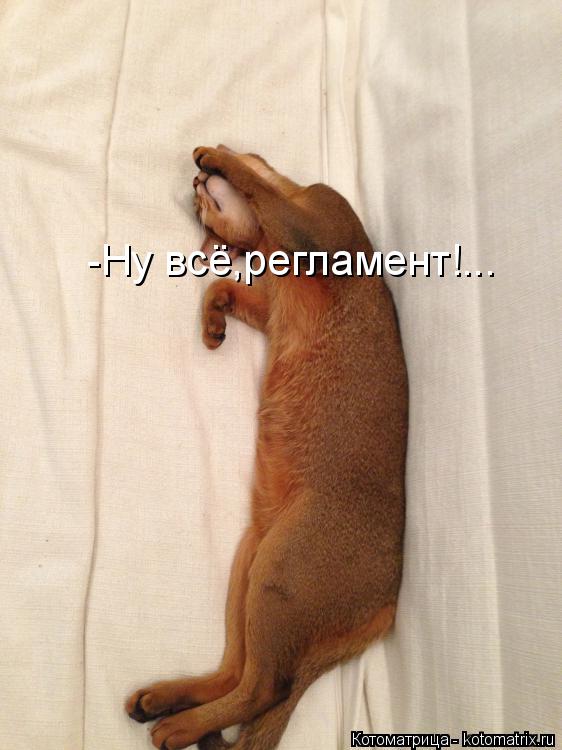 Котоматрица: -Ну всё,регламент!...