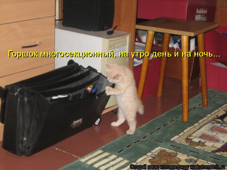 Горшок многосекционный, на утро день и на ночь...... Котоматрица: Горшок многосекционный, на утро день и на ночь...