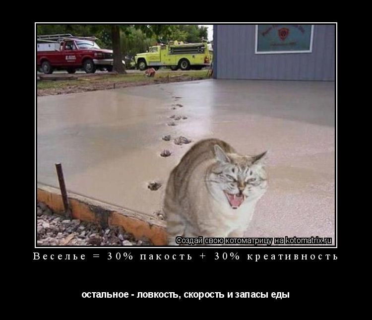 Котоматрица: Веселье = 30% пакость + 30% креативность остальное - ловкость, скорость и запасы еды