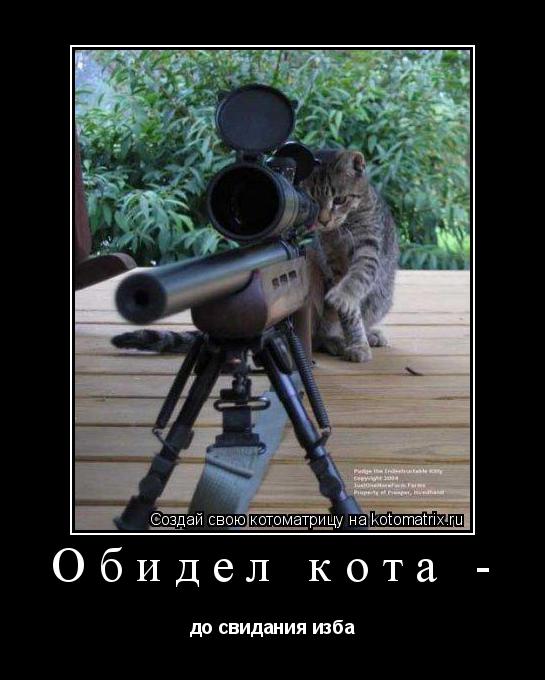 Котоматрица: Обидел кота - до свидания изба