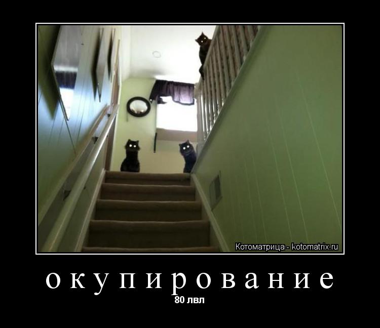 окупирование 80 лвл... Котоматрица: окупирование 80 лвл