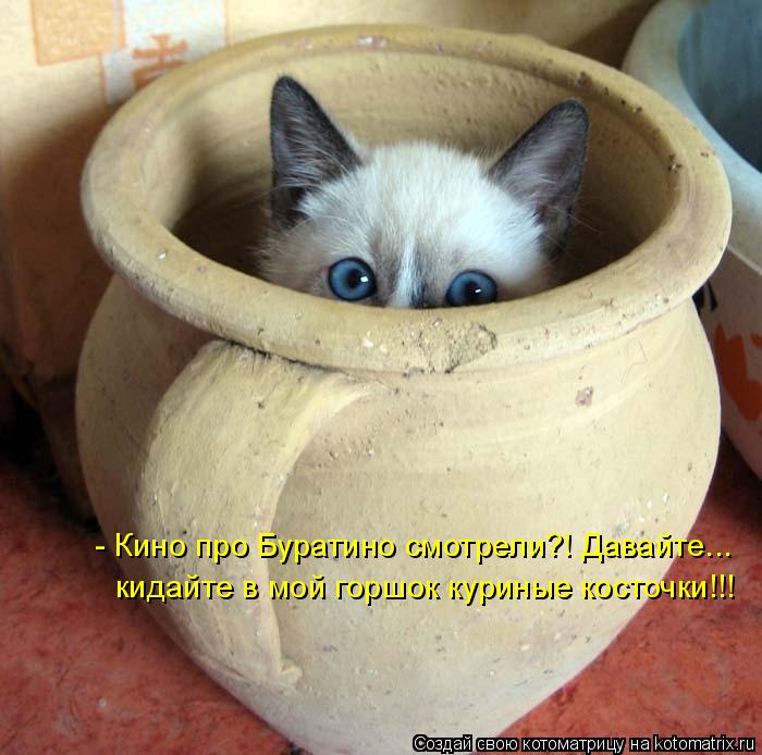 - Кино про Буратино смотрели?! Давайте... кидайте в мой горшок куриные косточки!!!... Котоматрица: - Кино про Буратино смотрели?! Давайте... кидайте в мой горшок куриные косточки!!!